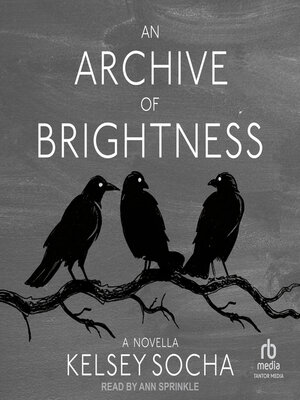An Archive of Brightness - Audiobook